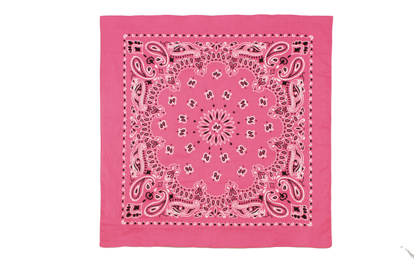 Rothco Trainmen Paisley Bandana - 22" X 22"